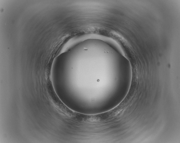 X0000073730546200608031332