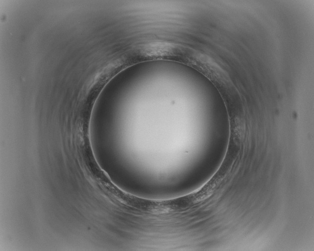 X0000073730547200608031332