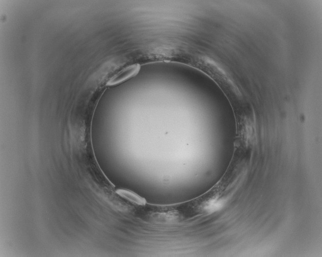 X0000073730548200608031332