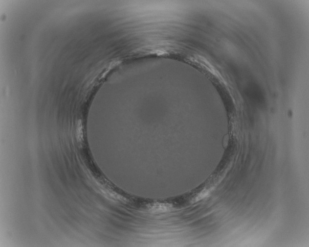 X0000073730549200608031332