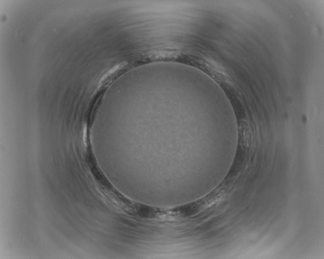 X0000073730550200608031332