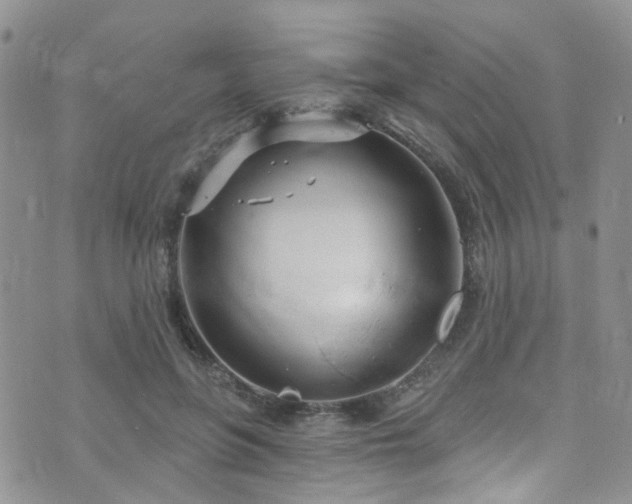 X0000073730551200608031332