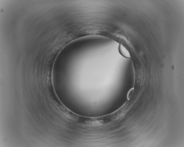 X0000073730553200608031332