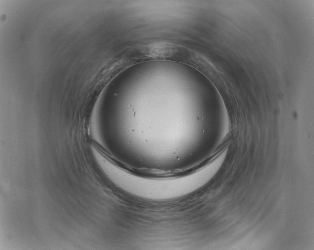 X0000073730554200608031332