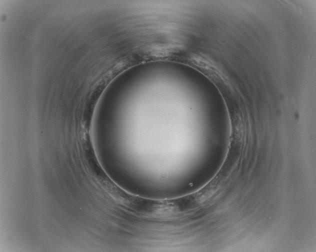 X0000073730555200608031332