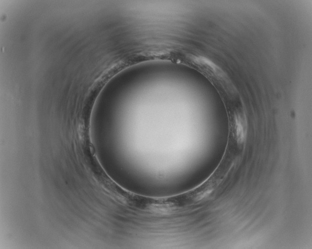 X0000073730556200608031332