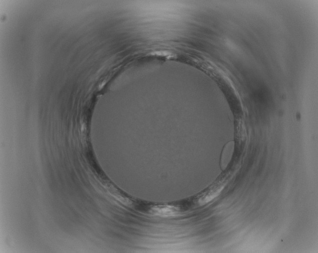 X0000073730557200608031332