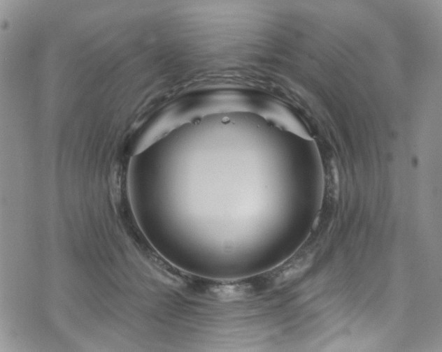 X0000073730558200608031332