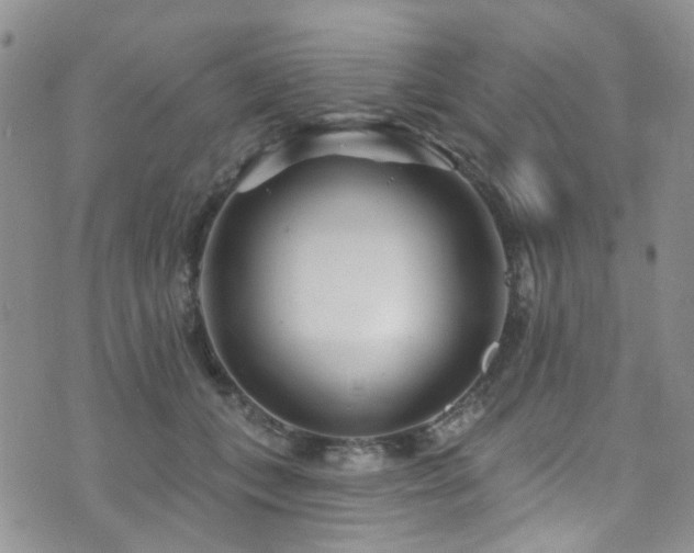 X0000073730559200608031332