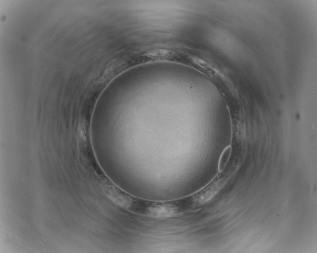 X0000073730561200608031332