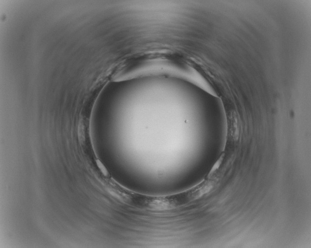 X0000073730562200608031332