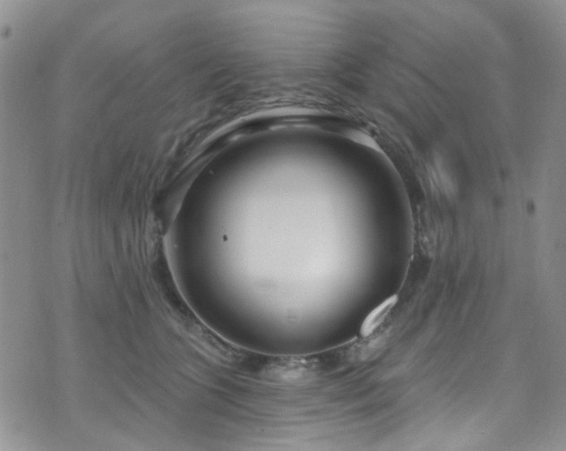 X0000073730563200608031332