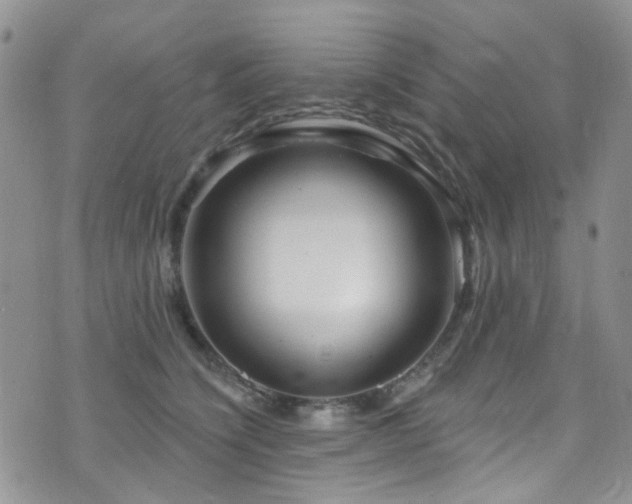 X0000073730564200608031332