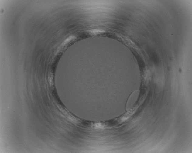 X0000073730565200608031332