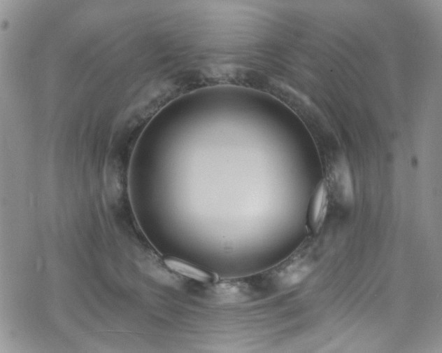 X0000073730566200608031332