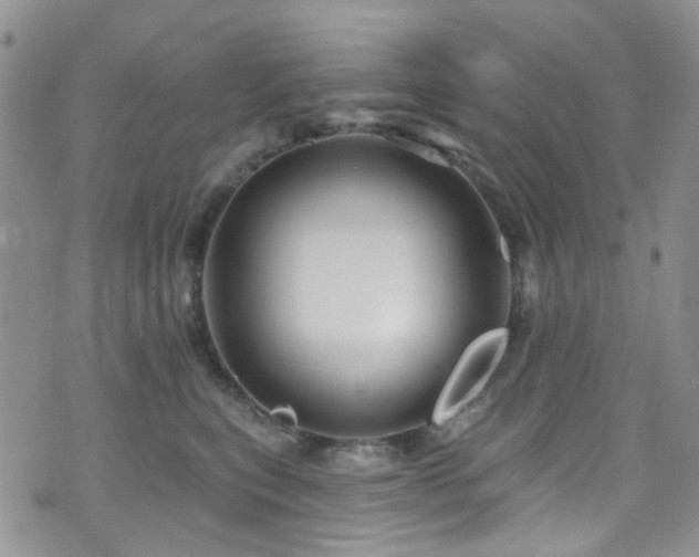 X0000073730567200608031332