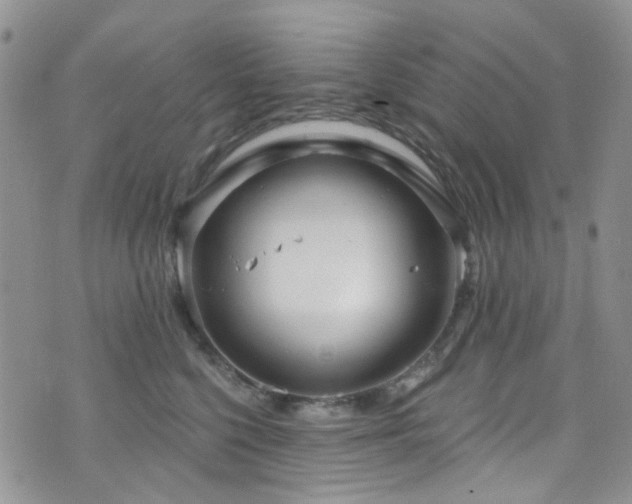 X0000073730568200608031332