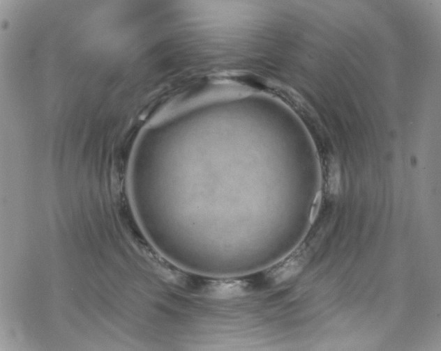 X0000073730569200608031332