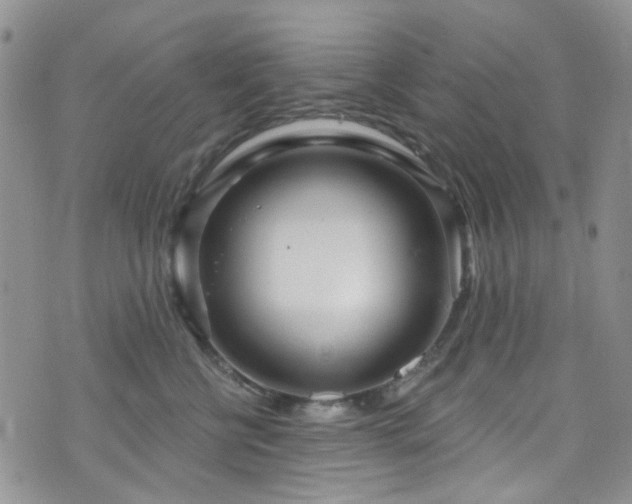 X0000073730570200608031332