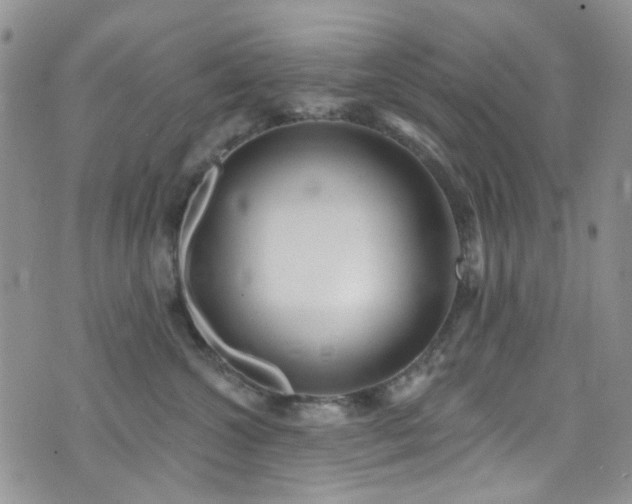 X0000073730572200608031332