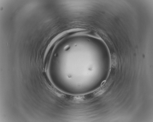 X0000073730573200608031332