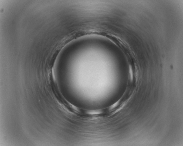 X0000073730574200608031333