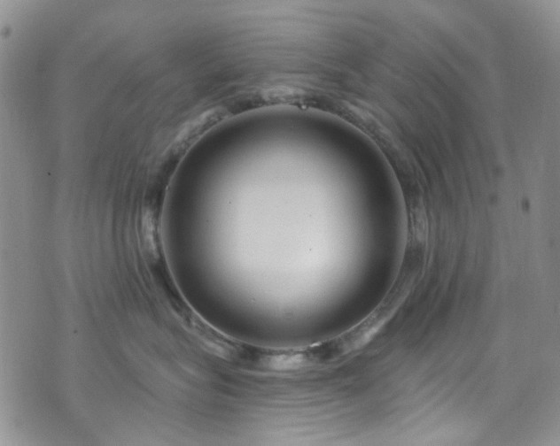 X0000073730575200608031333