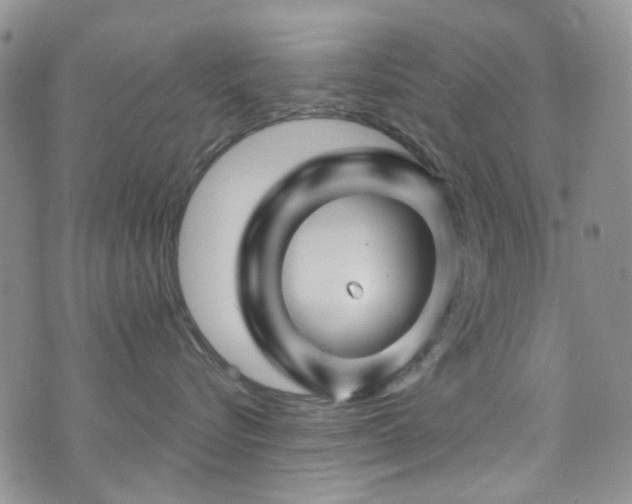 X0000073730576200608031333