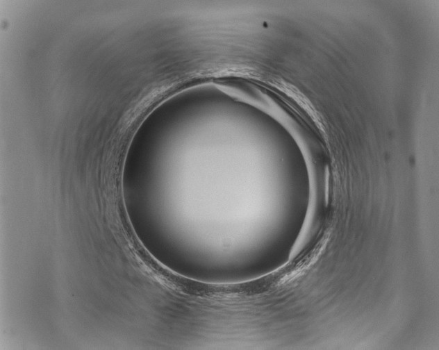 X0000073730577200608031332