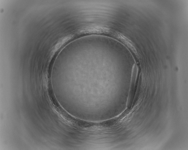 X0000073730578200608031332