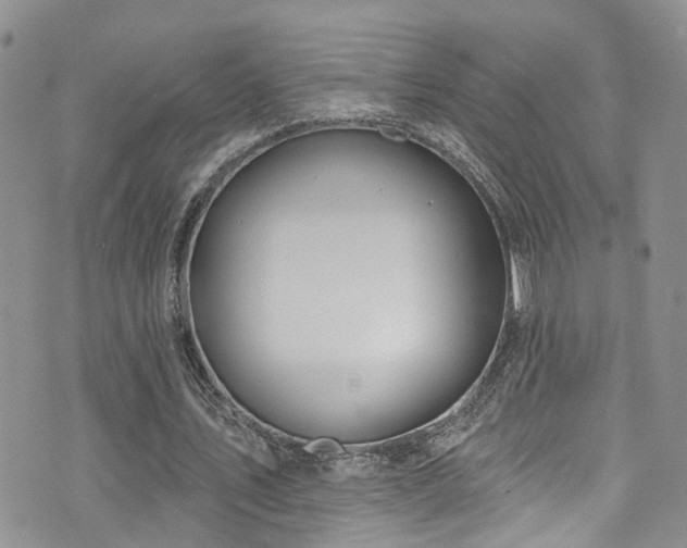 X0000073730579200608031332