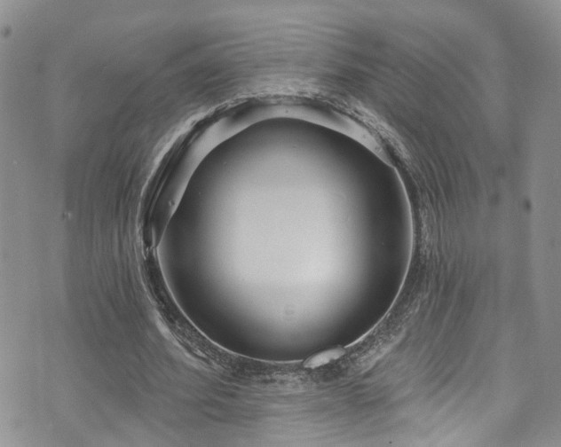 X0000073730580200608031332