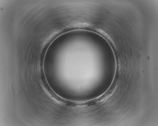 X0000073730581200608031332