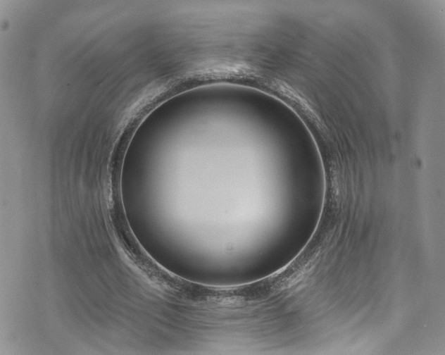 X0000073730582200608031332