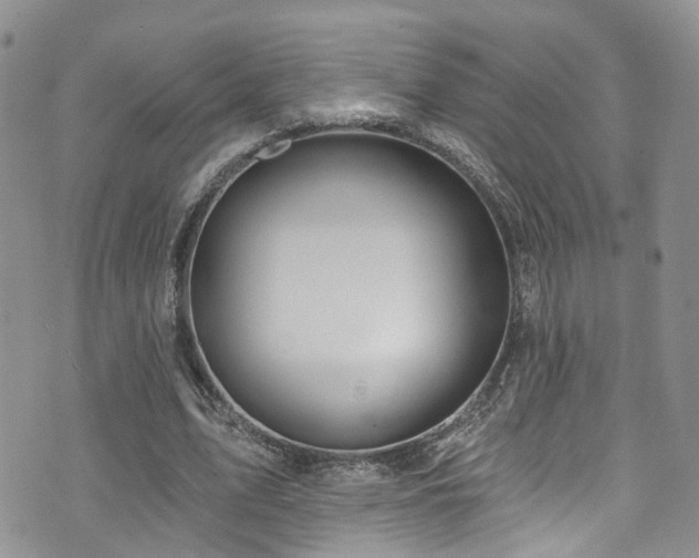 X0000073730583200608031332