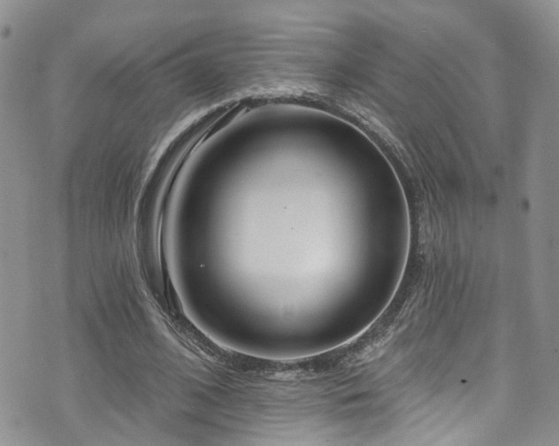 X0000073730584200608031332