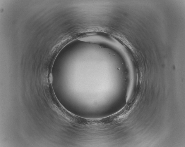 X0000073730585200608031332