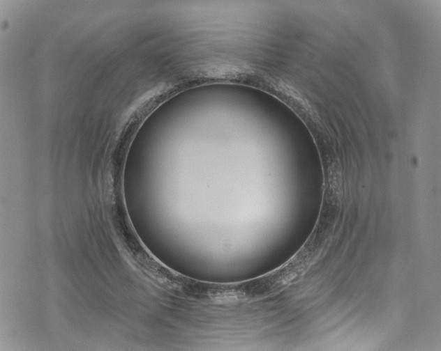 X0000073730587200608031332