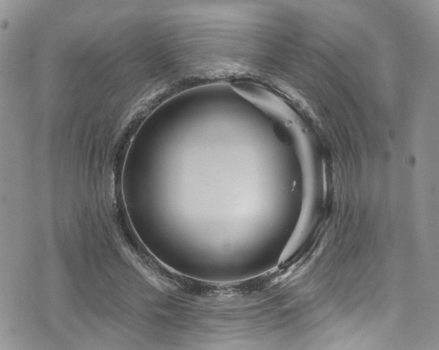 X0000073730589200608031332