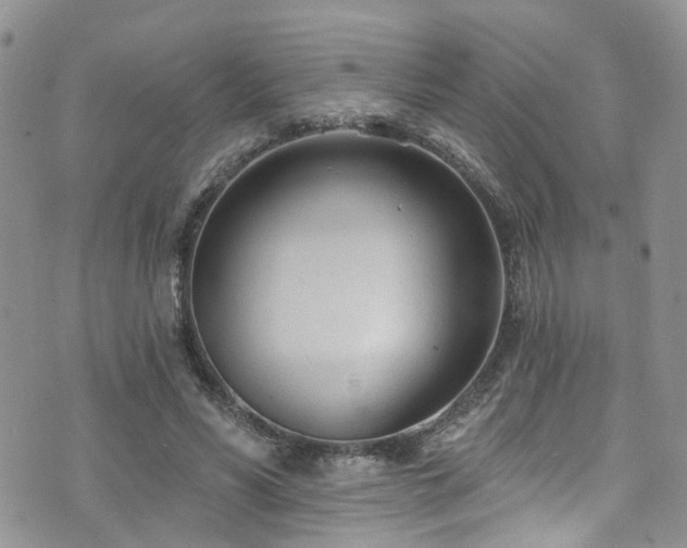 X0000073730590200608031332