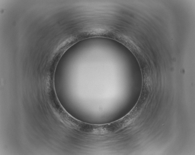 X0000073730591200608031332