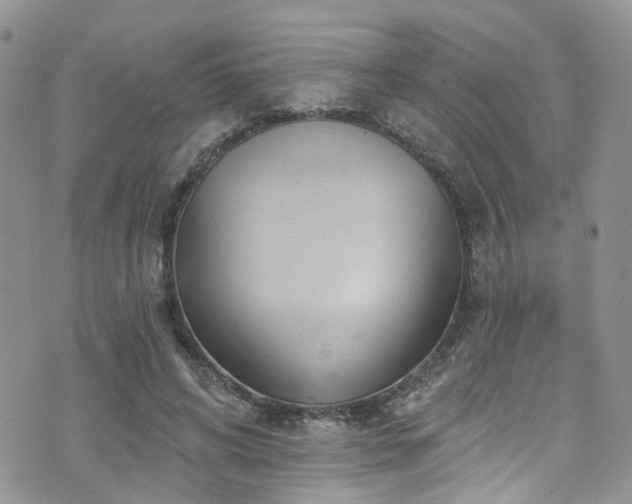 X0000073730592200608031332