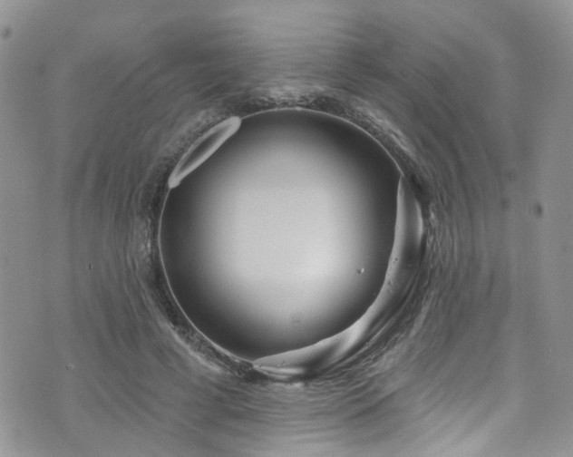 X0000073730593200608031331