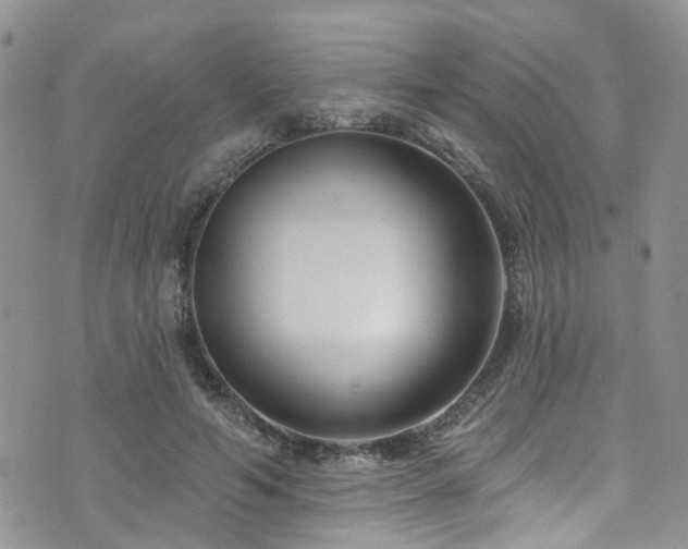 X0000073730594200608031331