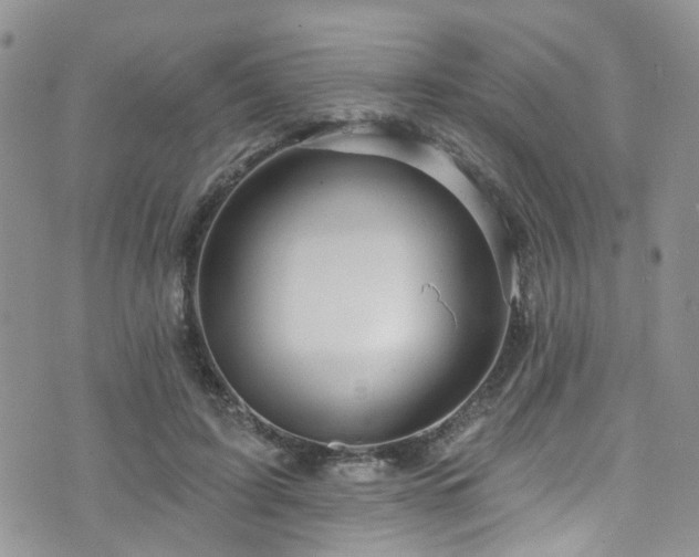 X0000073730595200608031331