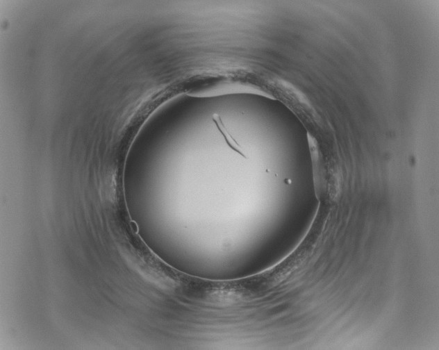 X0000073730596200608031331