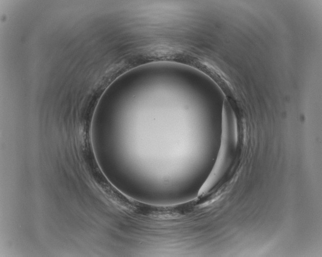 X0000073730597200608031331