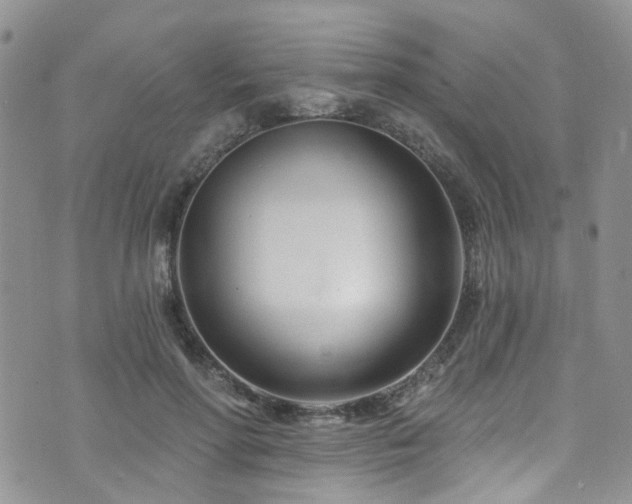 X0000073730598200608031331