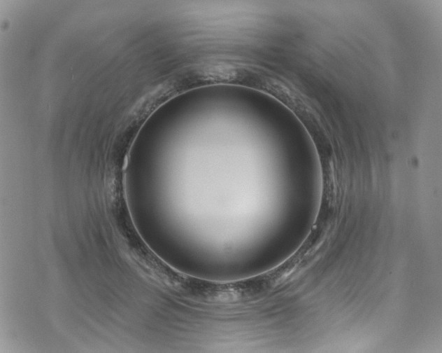 X0000073730600200608031331