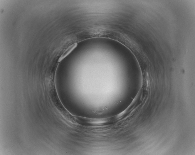 X0000073730601200608031331